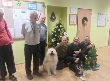 Čtyř-nohá návštěva